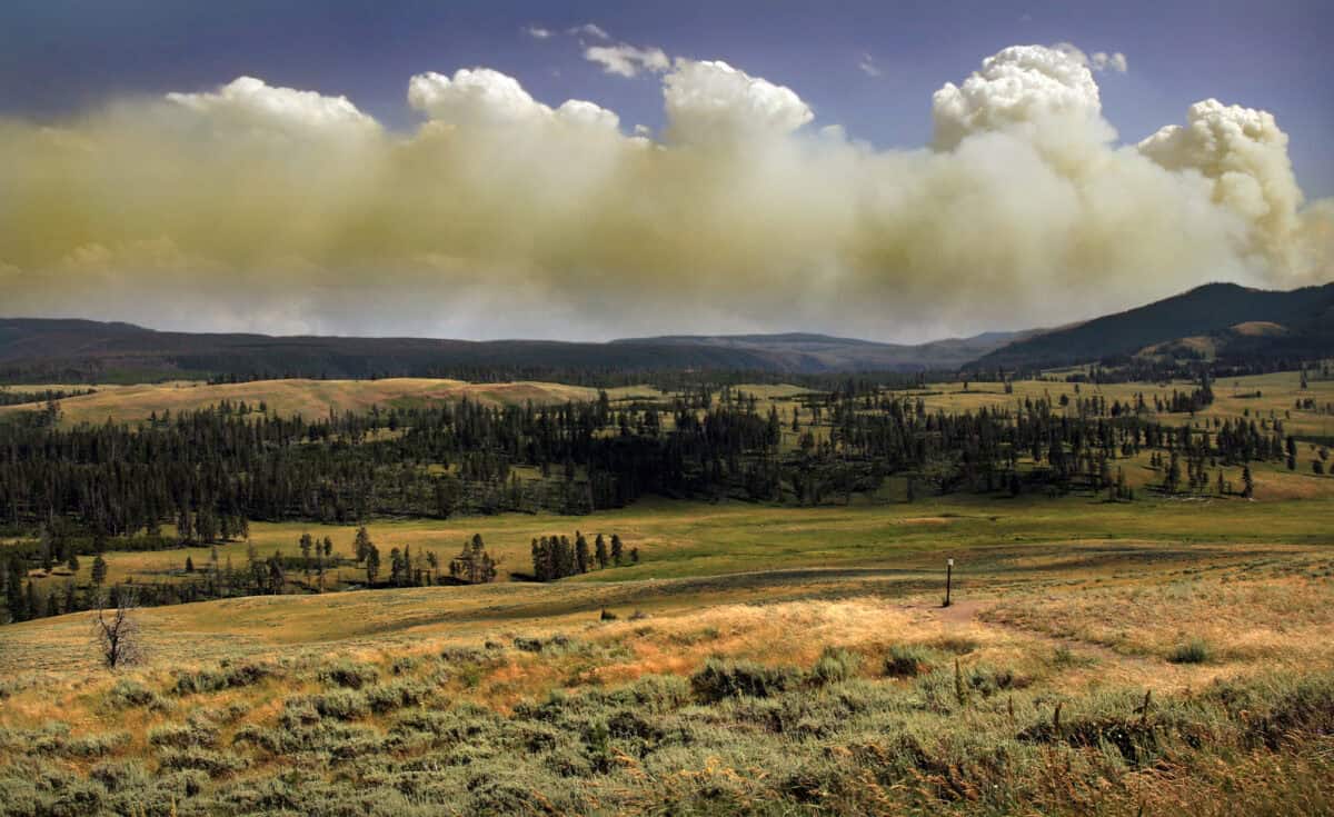 Corridor de Yellowstone à Yukon
