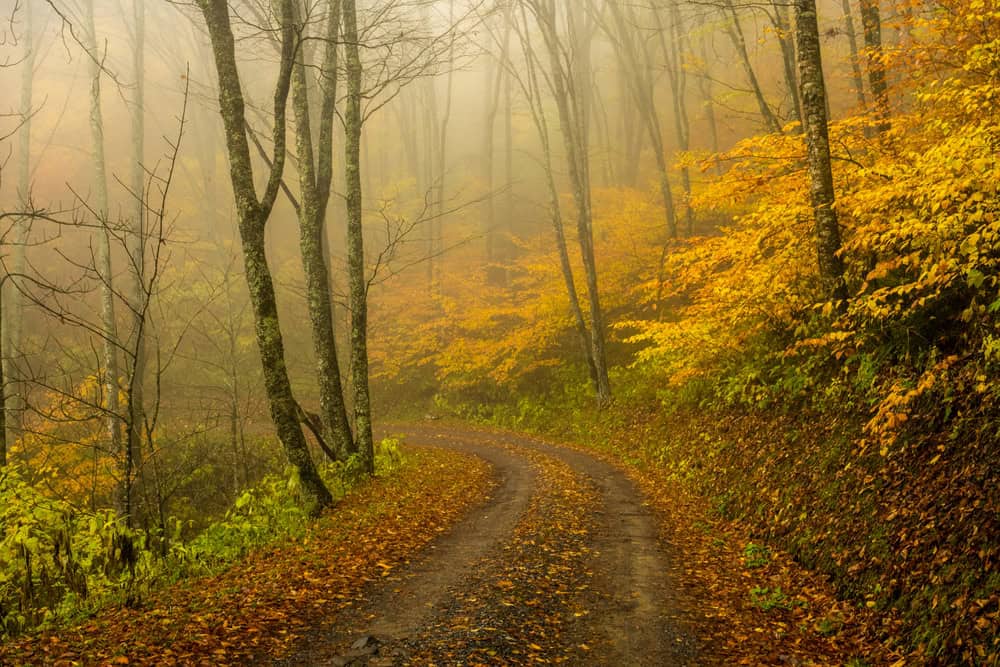 Parc national des Great Smoky Mountains