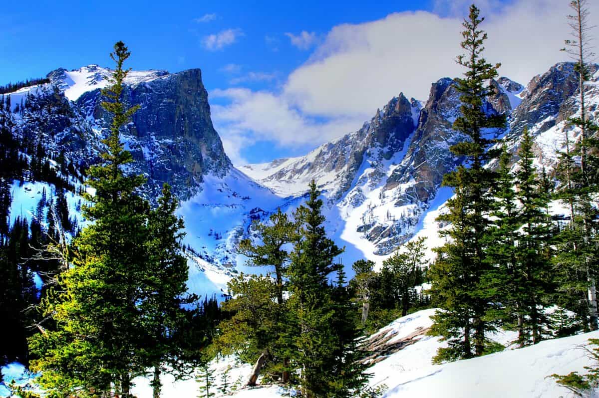 Une montagne couverte de neige avec des arbres au premier plan