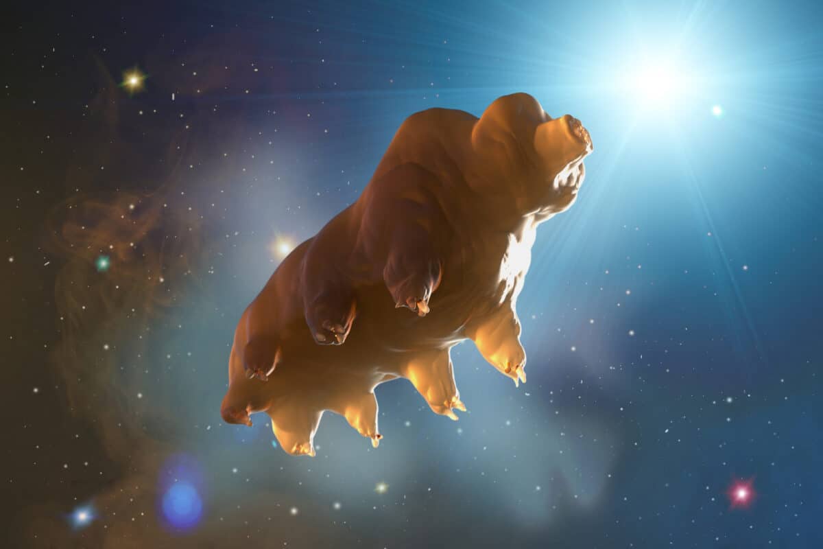 Rendu 3D d'un tardigrade, montrant ses caractéristiques mignonnes et potelées. Pourraient-ils détenir le secret qui nous empêcherait de vieillir ?