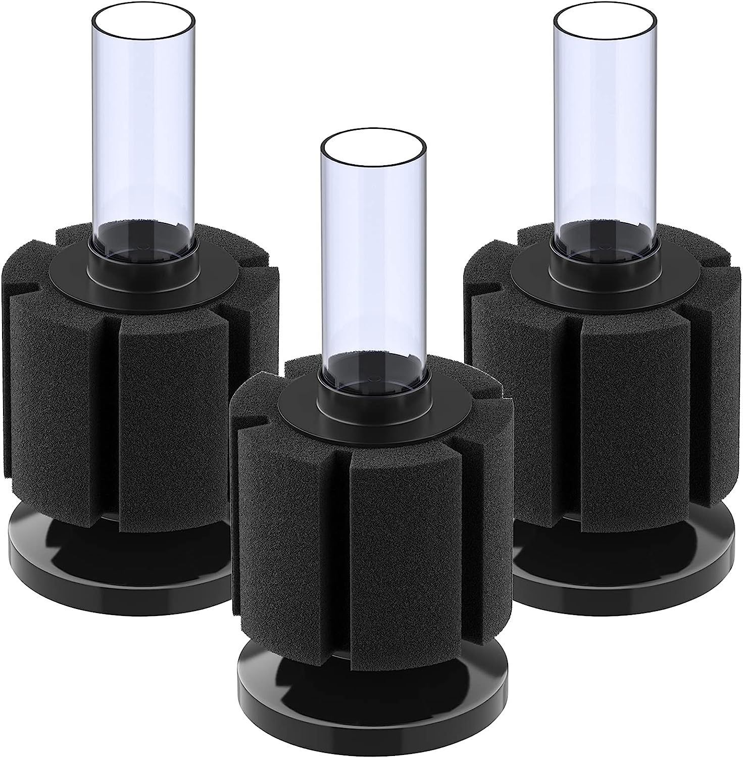 Éponges d'aquarium de la patte