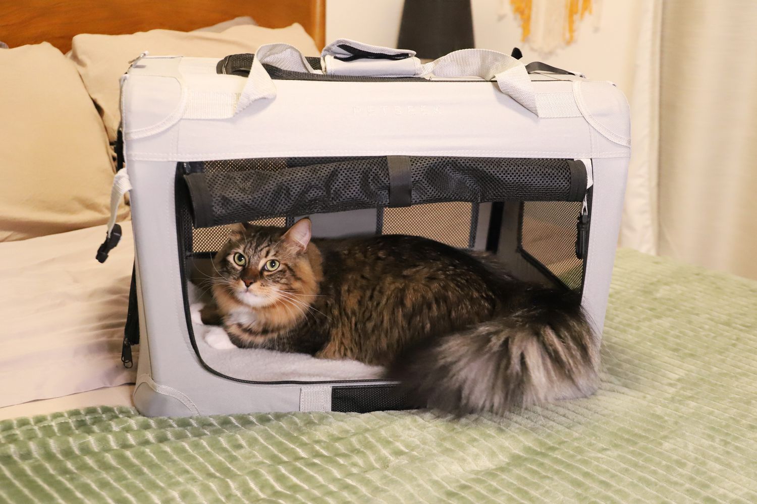 Petseek Extra Large Cat Carrier