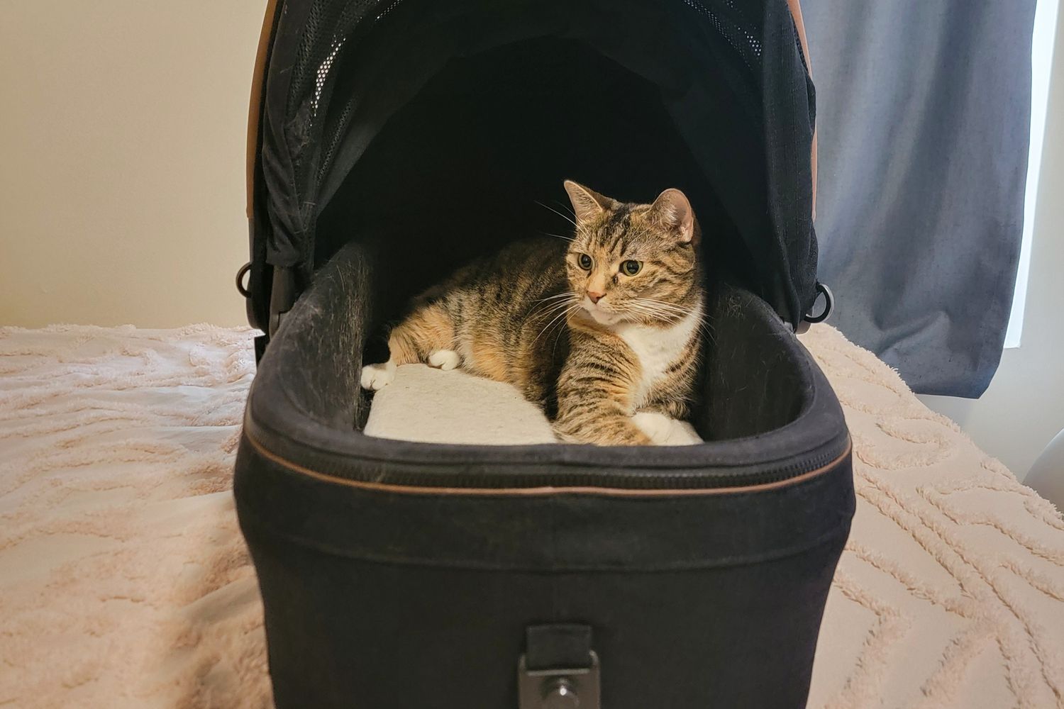 Siège d'auto de compagnie Maeve