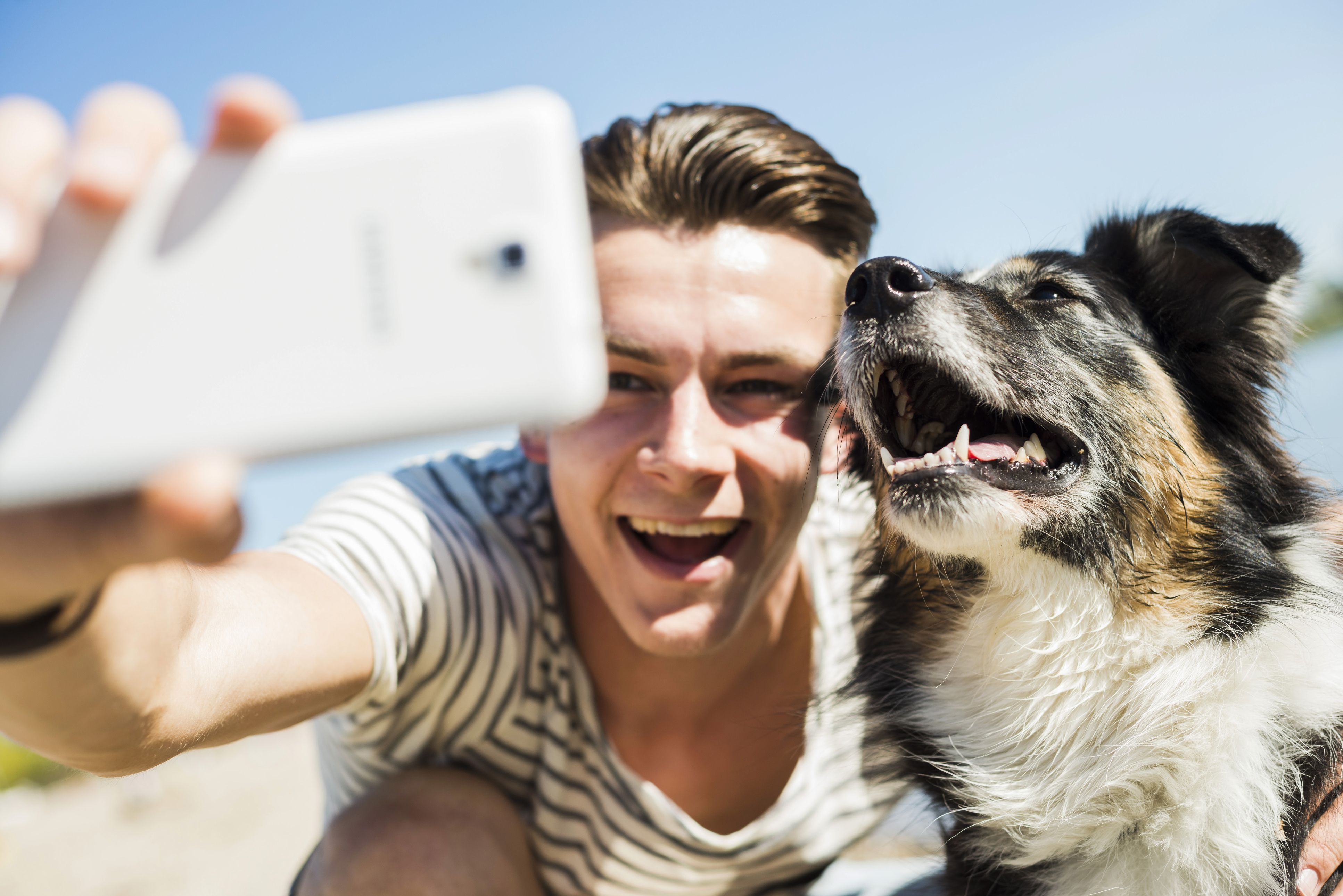 prendre soin de votre premier chien, selfie de chien
