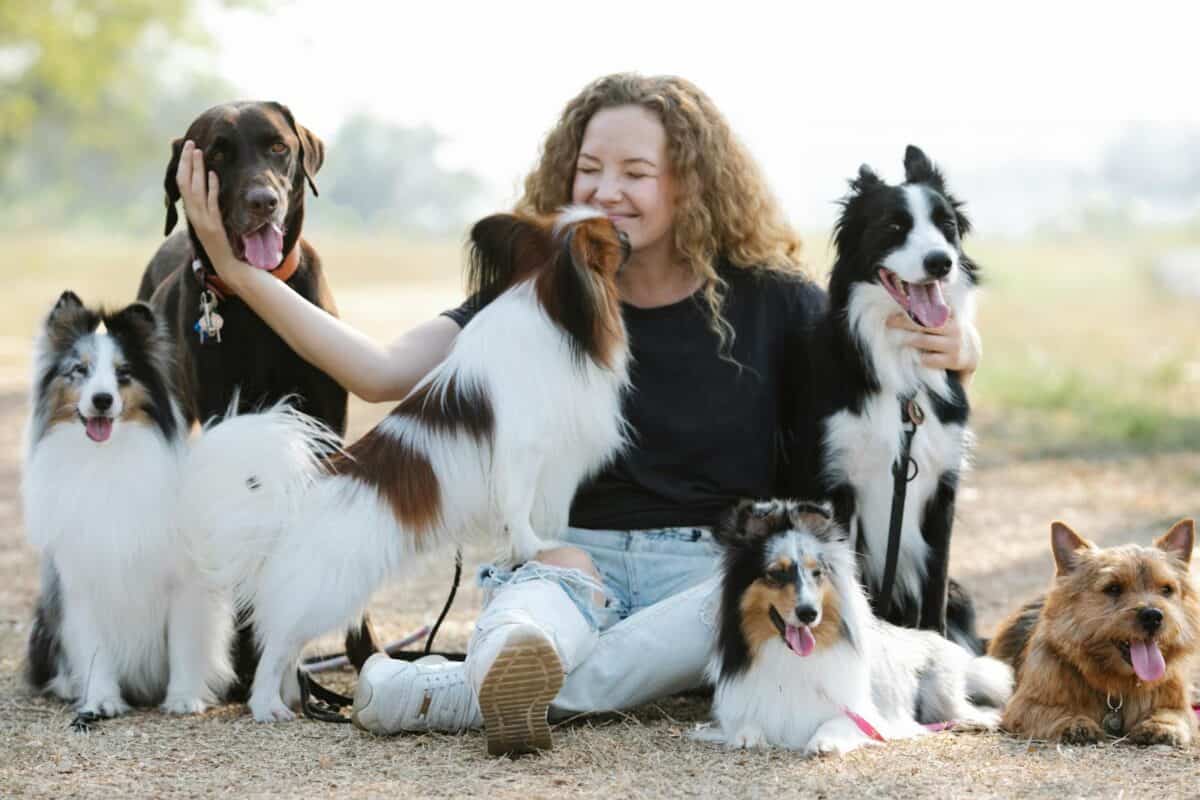 Femme souriante assise avec six chiens à l'extérieur dans un parc ensoleillé.
