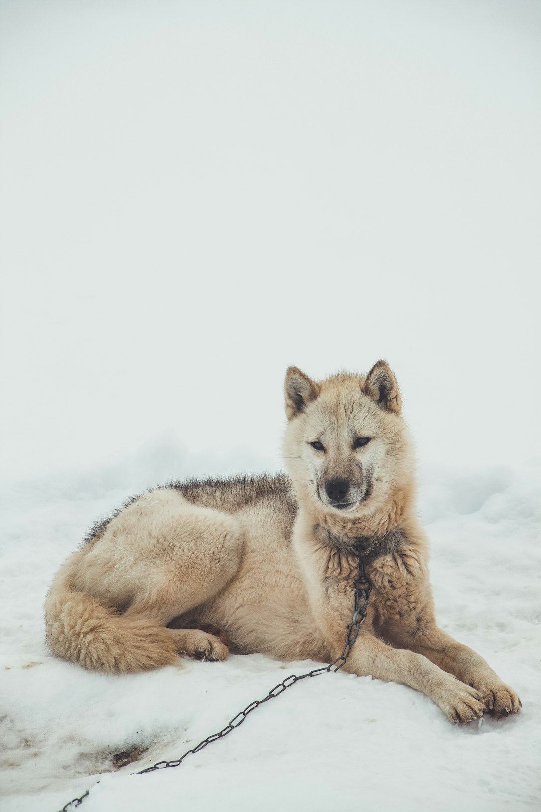 Conclusion (crédits image : unsplash)