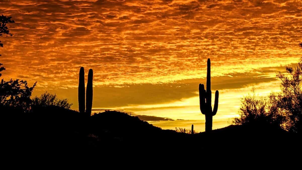 Série de chaleur en Arizona
