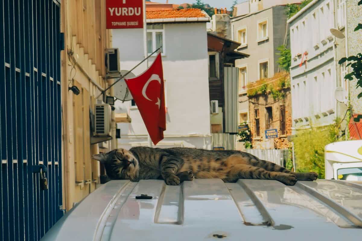 chat Istanbul