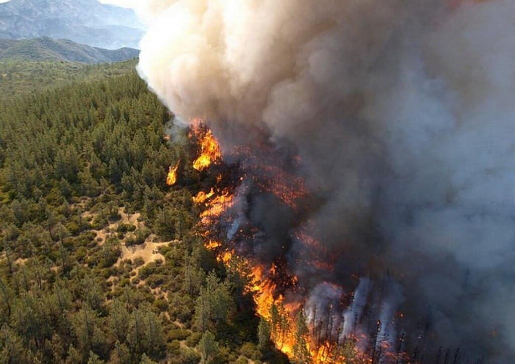incendie de forêt