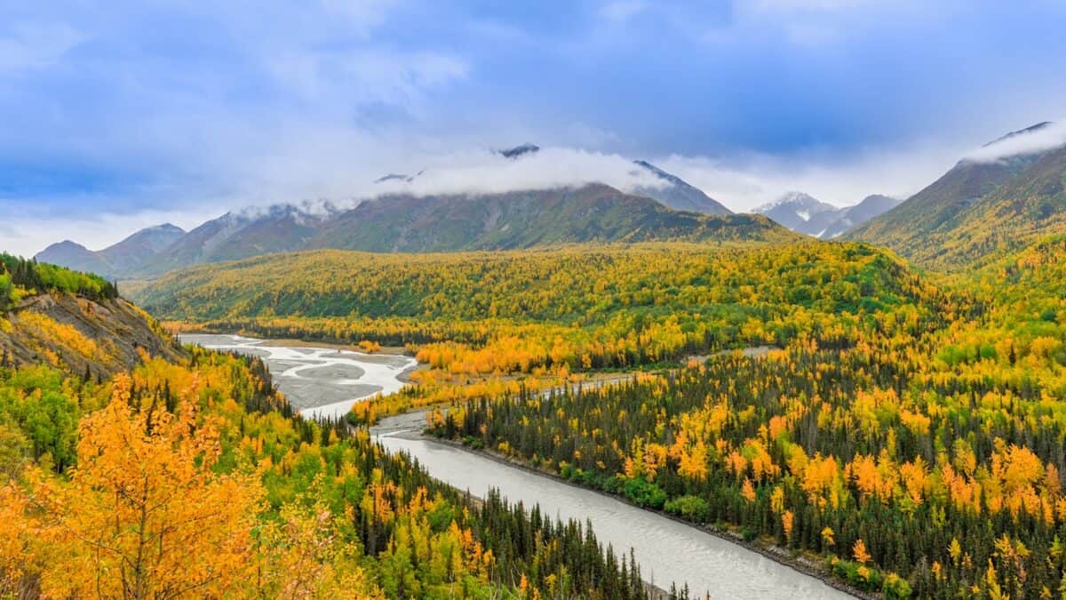 rivière à côté de la forêt sous un ciel clair