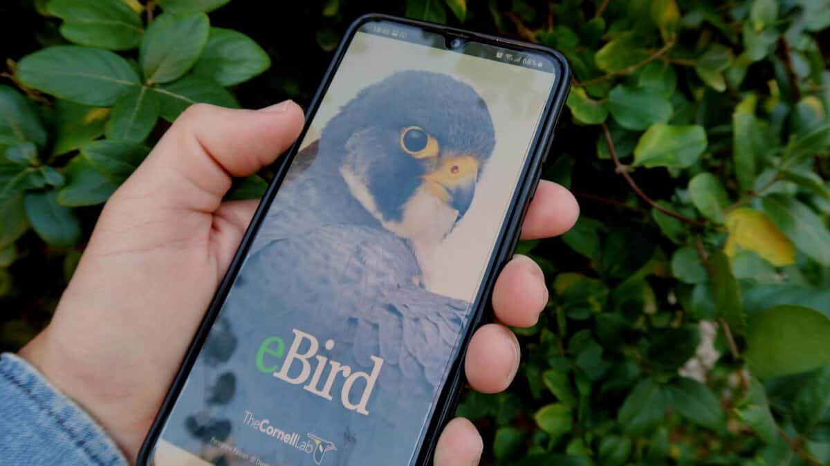 personne tenant un smartphone android samsung noir