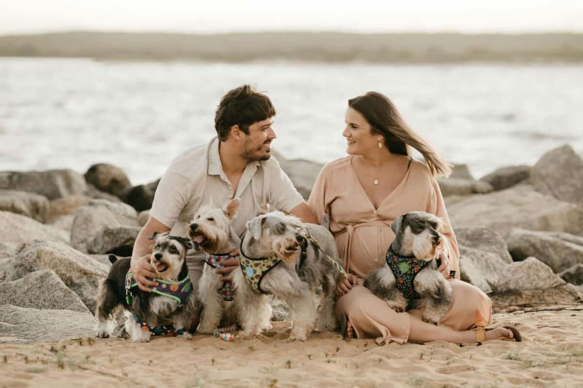 Un couple profite d'une journée ensoleillée à la plage avec leurs quatre chiens heureux.