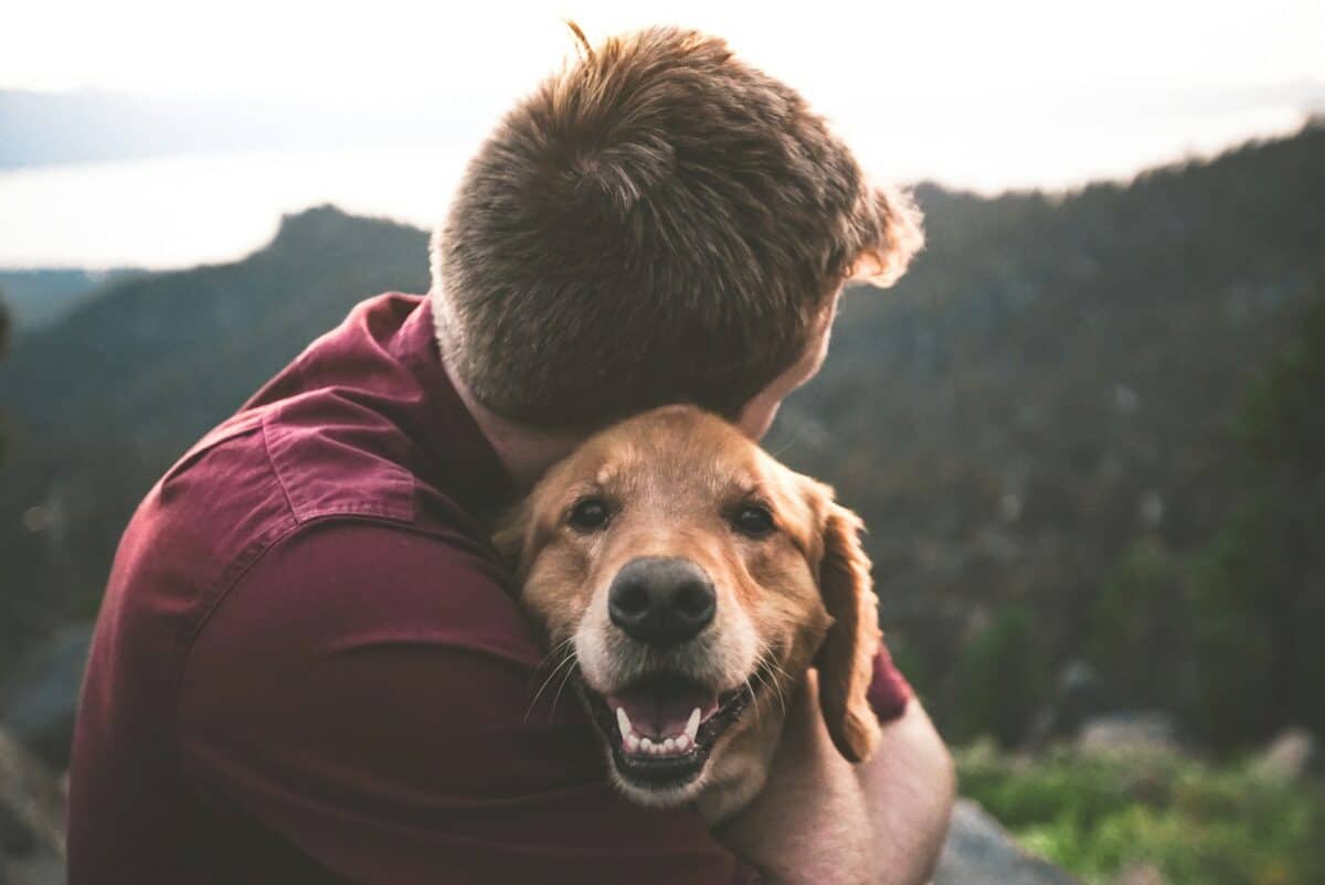 photo d'un homme serrant un chien bronzé