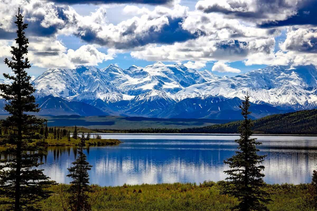 parc national denali, alaska, ciel, nuages, montagnes, neige, lac merveilleux, reflets, mont denali, paysage, scénique, nature, extérieur, pays, région sauvage, hdr, beau, pittoresque, forêt, arbres, les bois, forêt bleue, paysage bleu, arbre bleu, beauté bleue, parc bleu, neige bleue, lac bleu, alaska, alaska, alaska, alaska