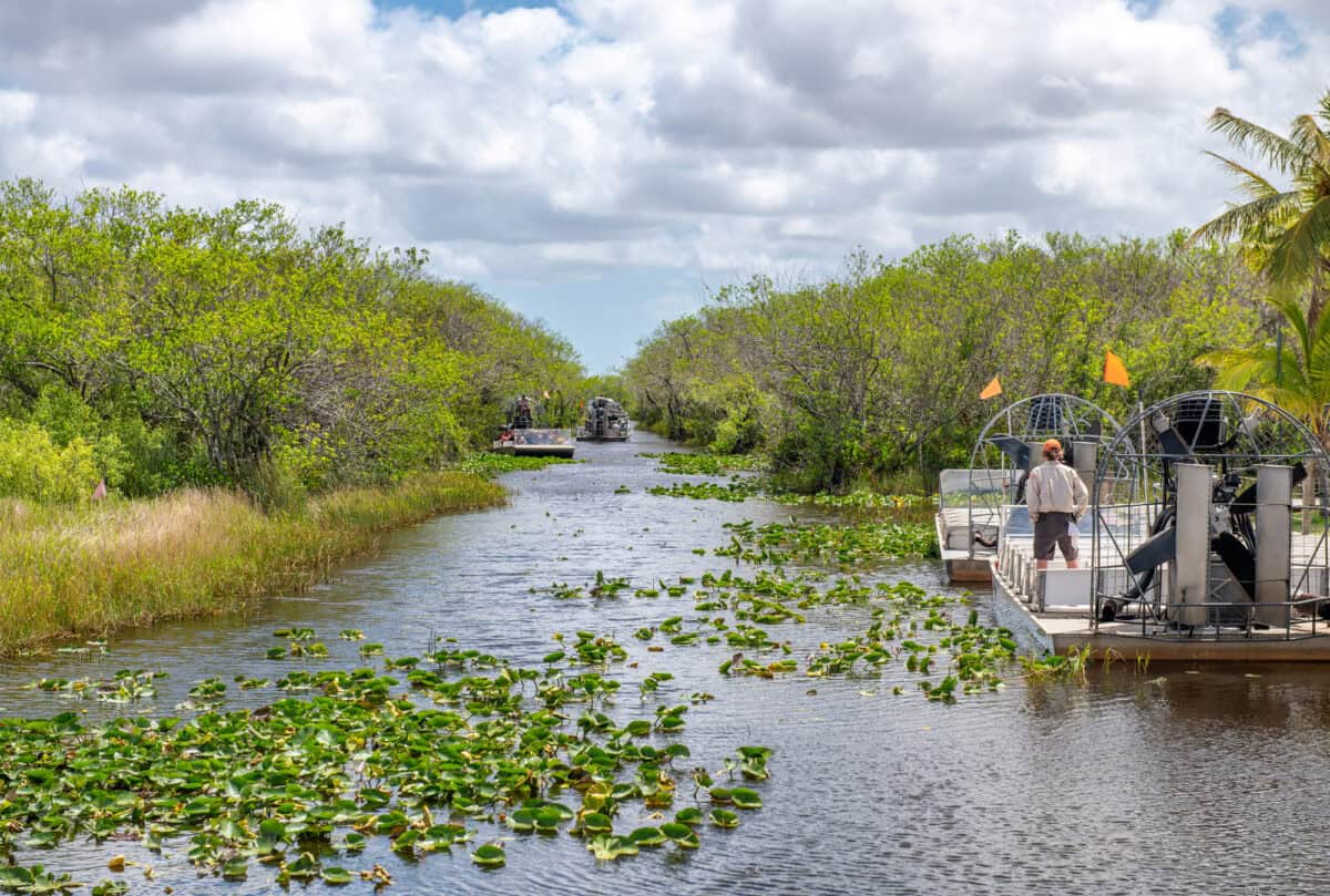 Visites en hydroglisseurs dans le parc national des Everglades, en Floride.