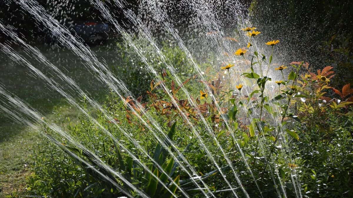 Arroseur de jardin