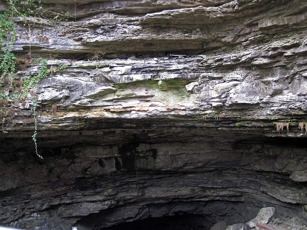 Hidden River Cave (Horse Cave, Kentucky, États-Unis)