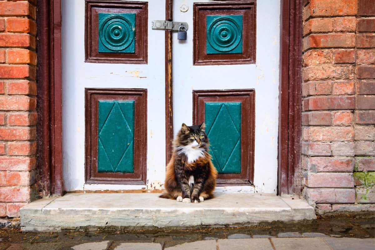 chat istanbul