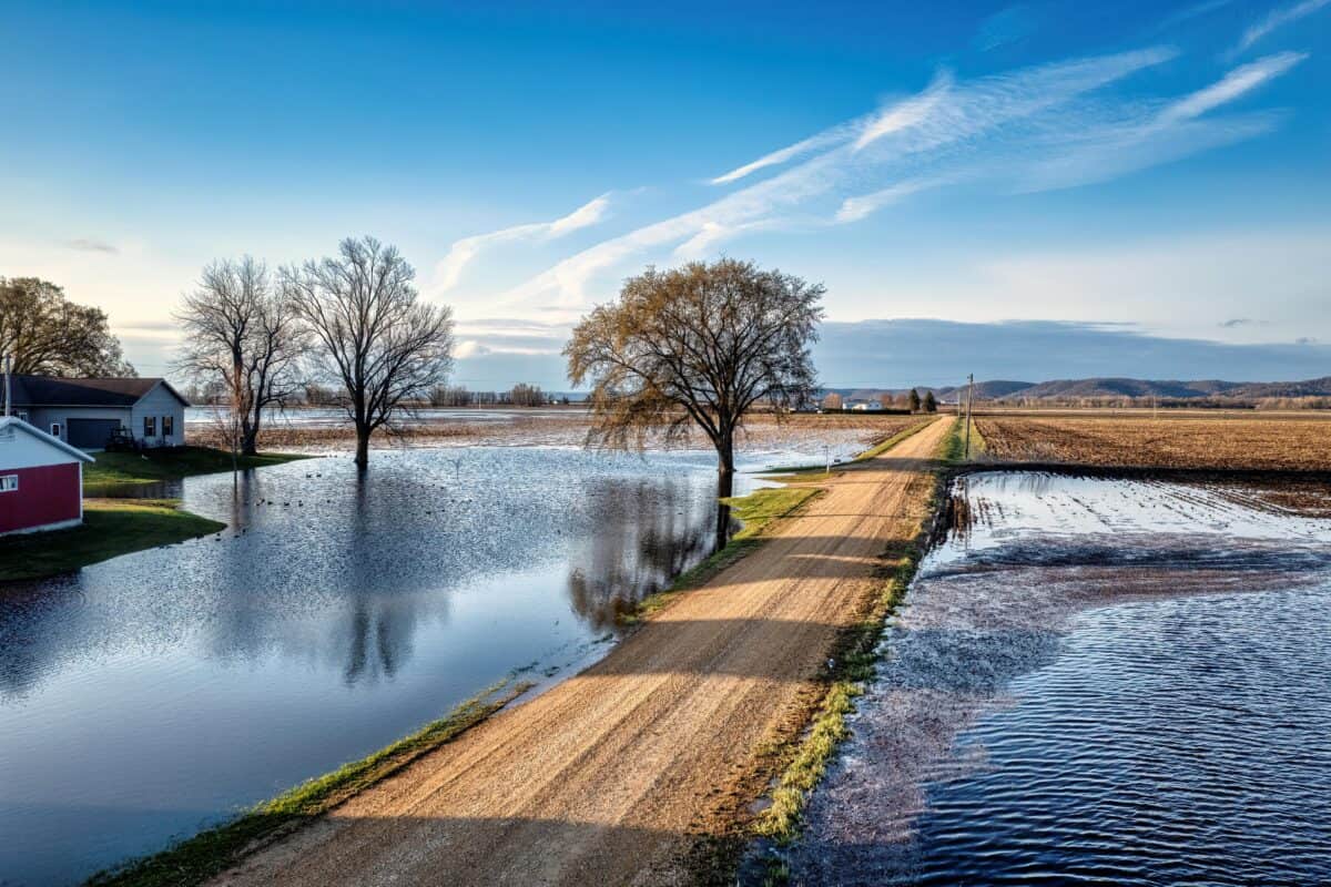 Les champs submergés par les eaux de crue.