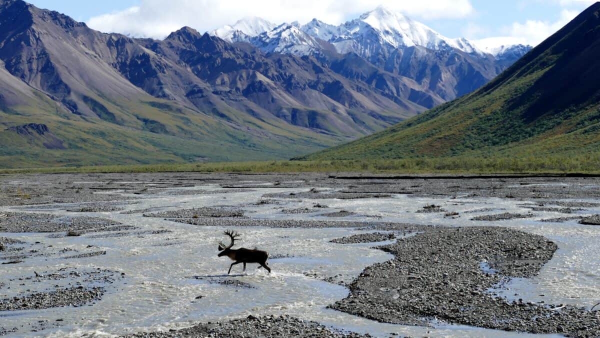 orignal courant sur un plan d'eau près des montagnes pendant la journée