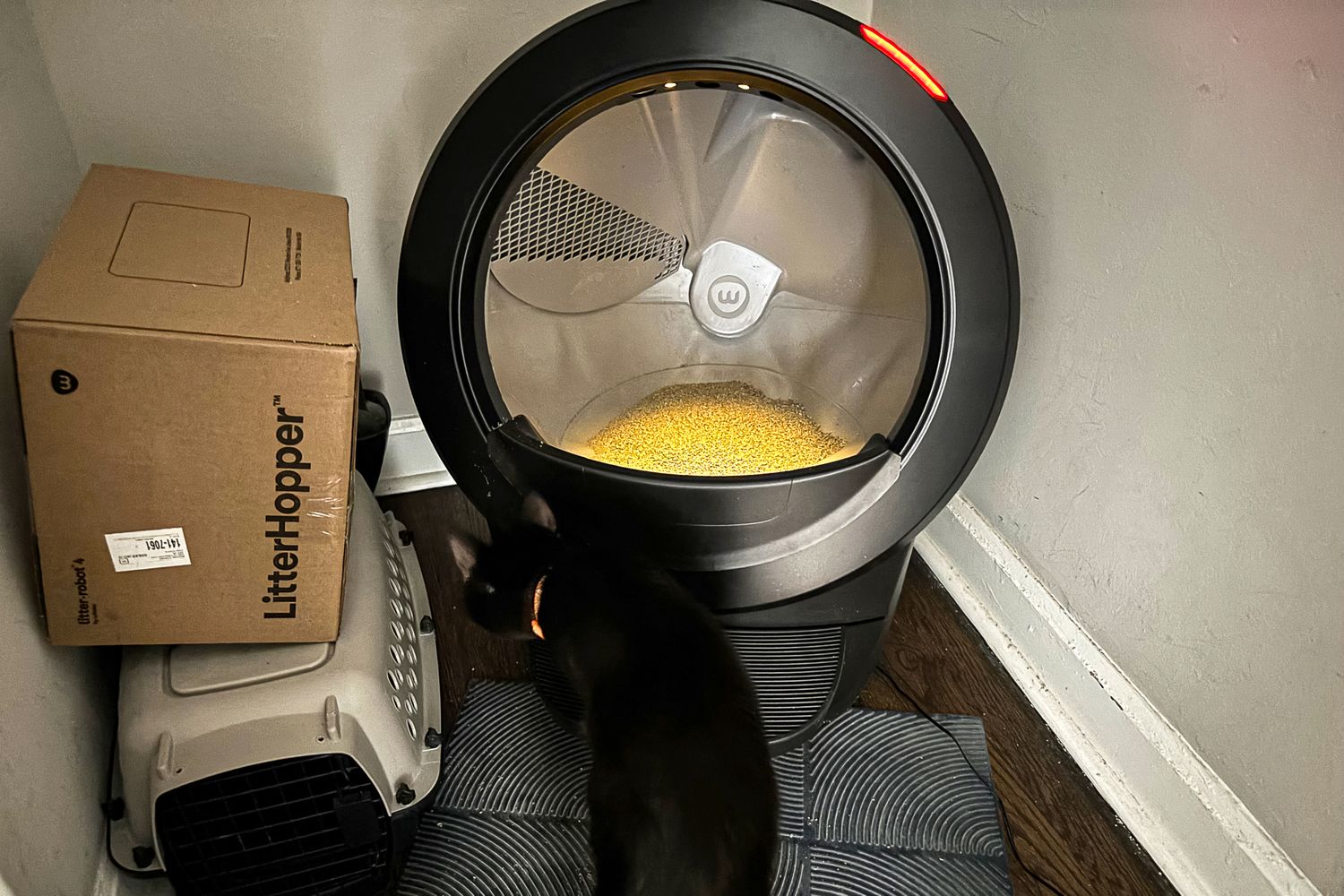 Un chat noir près d'un bac à litière automatisé avec une boîte étiquetée LitterHopper