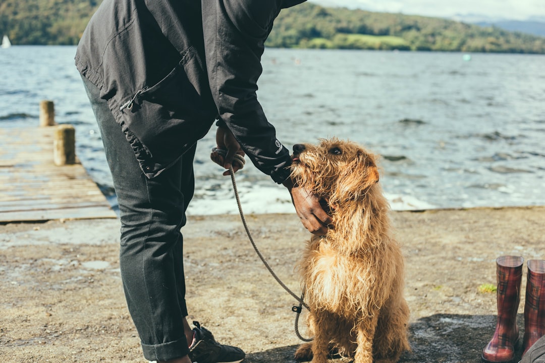 12 Ils vous suivent partout (crédits image : unsplash)