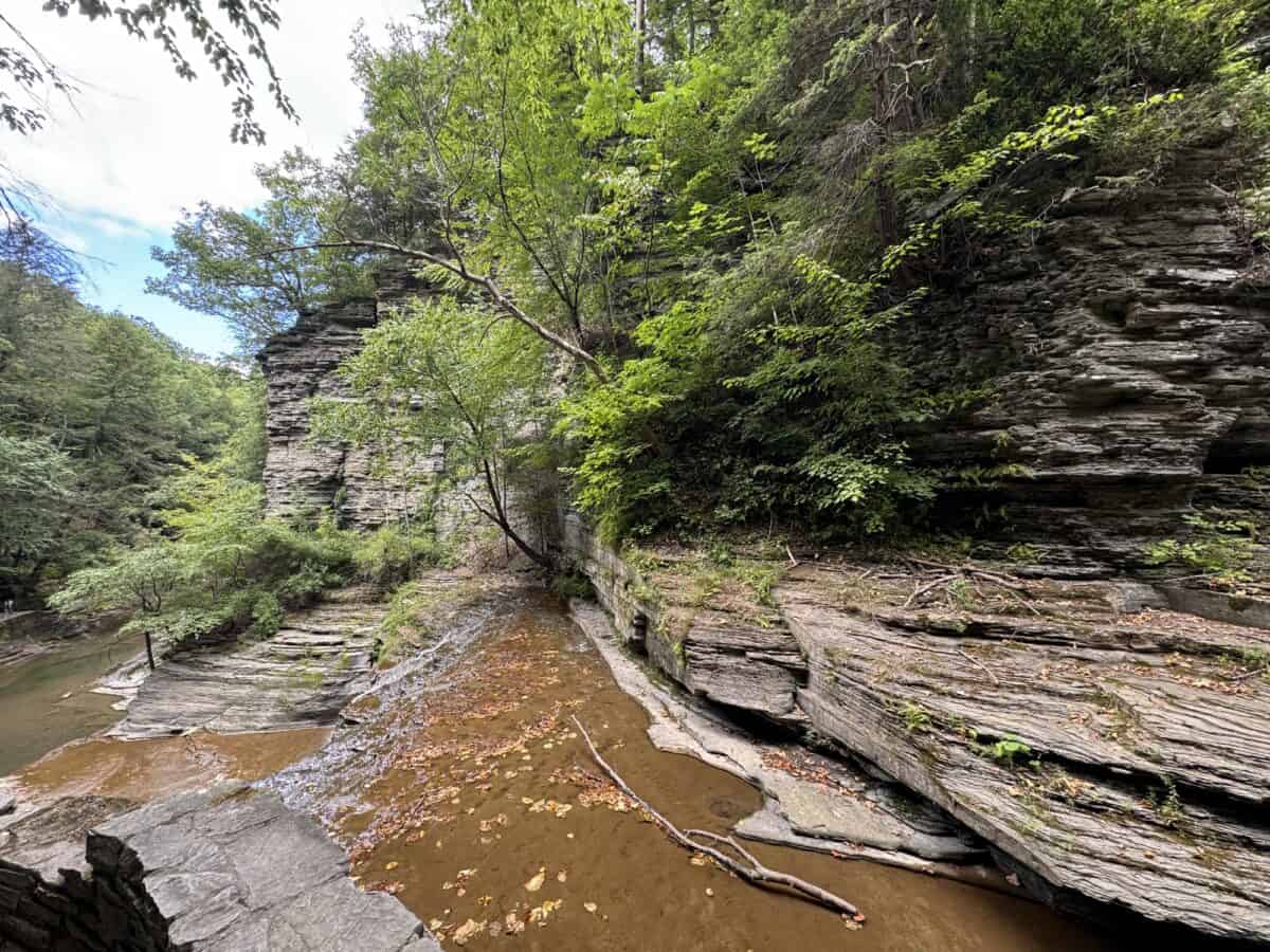 Vue à travers la randonnée au parc national de Buttermilk Falls à Ithaca