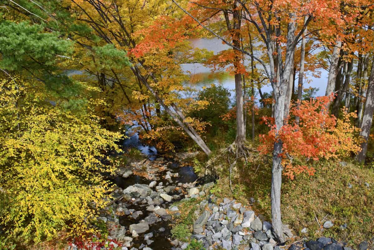 Nuances d'automne 