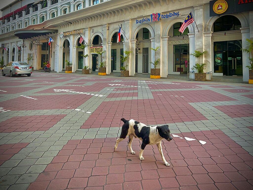 Melaka, Malaisie - London Bus Cafe fermé, chien dans la rue