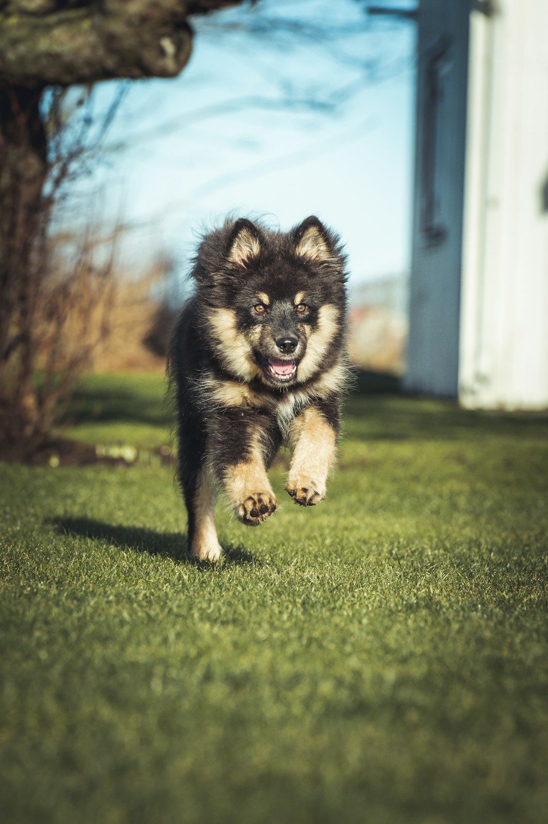 3 Ils imitent votre comportement (crédits image : unsplash)
