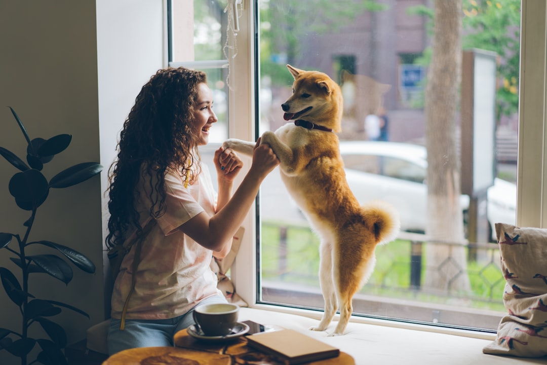 4Ils vous montrent leur ventre (crédits image : unsplash)