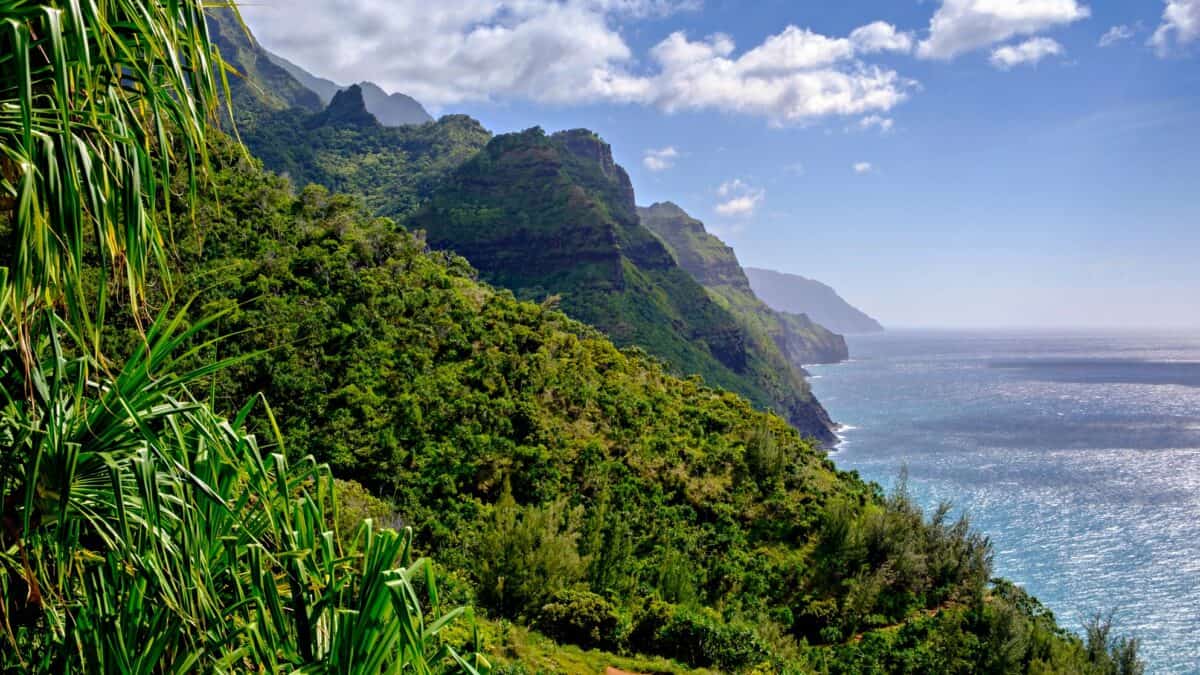 Ola Trail, Kauai, Hawaï, États-Unis