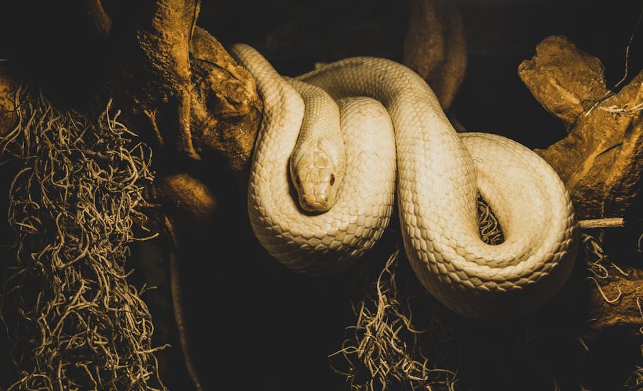 Serpents : les sismologues reptiliens (crédits image : pexels)