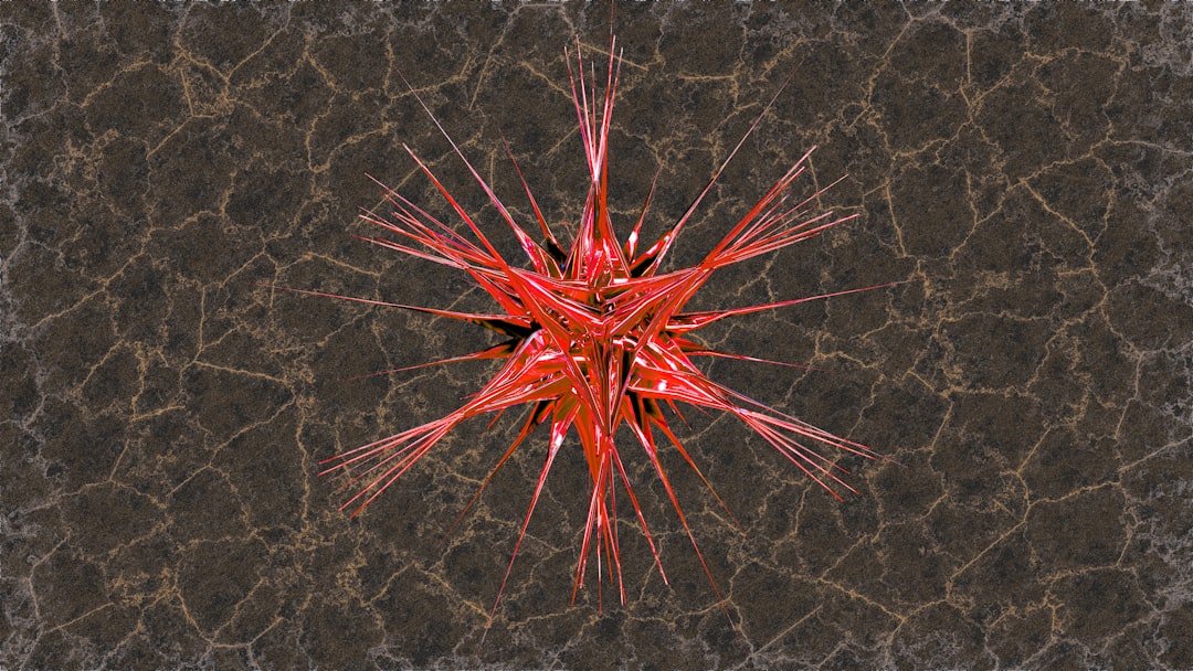 9. Oursin rouge (crédits image : unsplash)