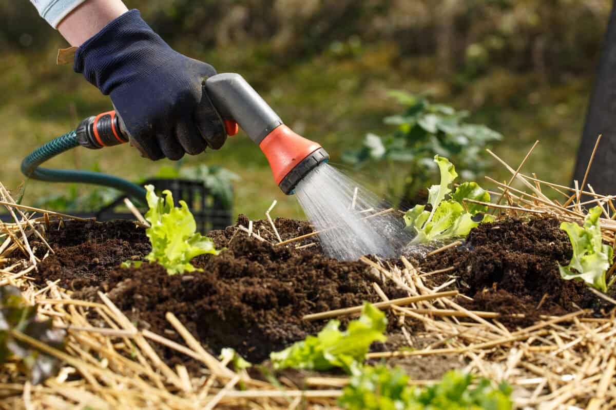jardiniers