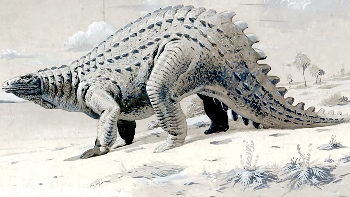 Réimagination de Scelidosaurus.