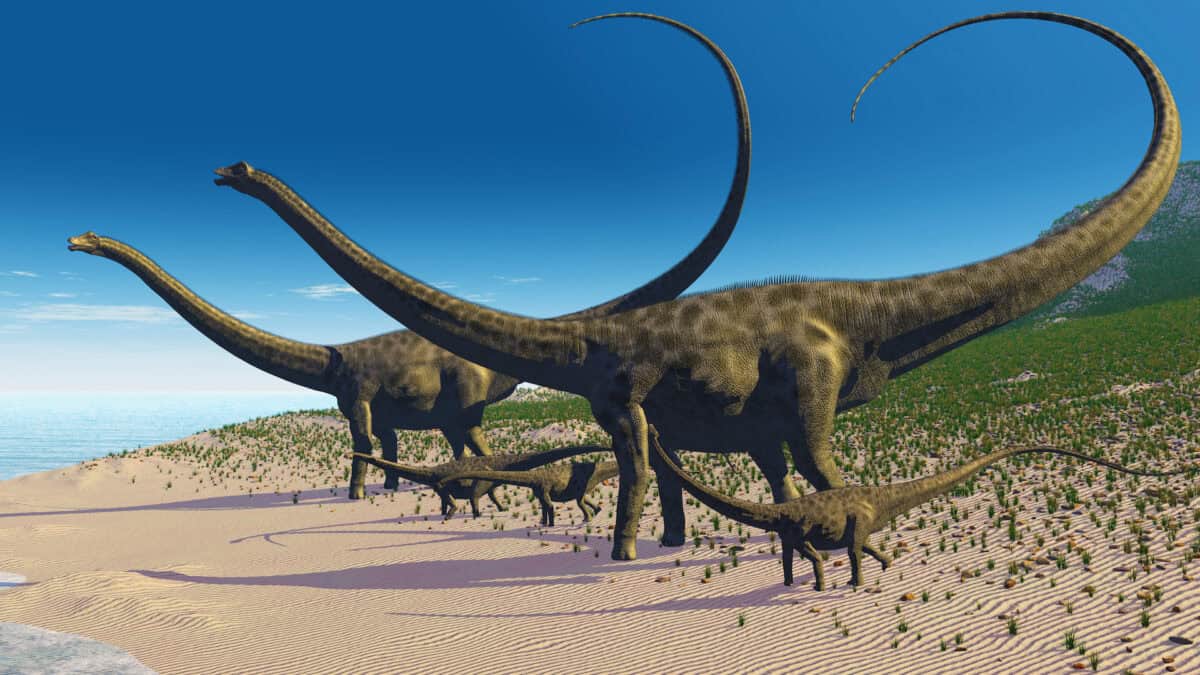 Un troupeau de dinosaures diplodocus de la période du Jurassique moyen.