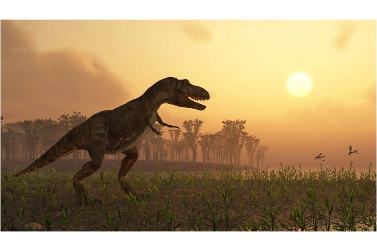 dinosaure