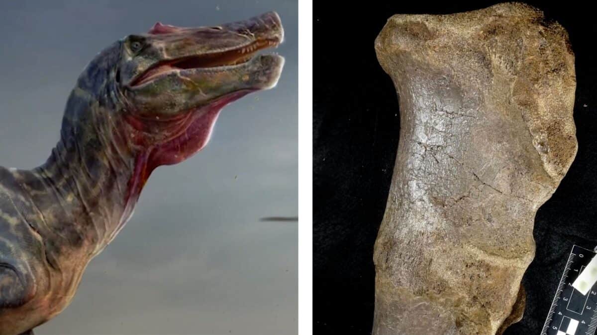 le plus grand dinosaure d'Europe