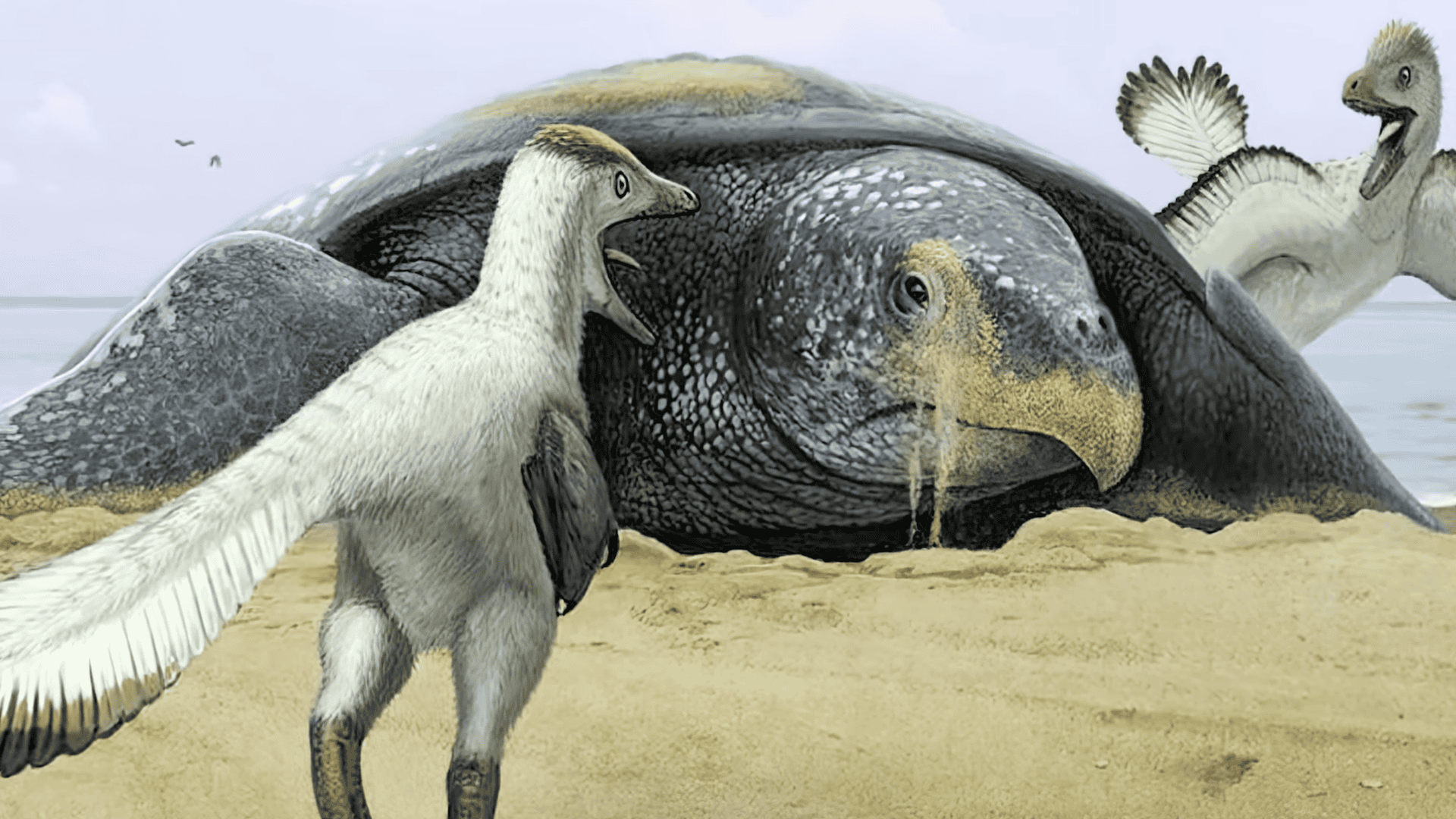 Archelon et quelques petits dinosaures.
