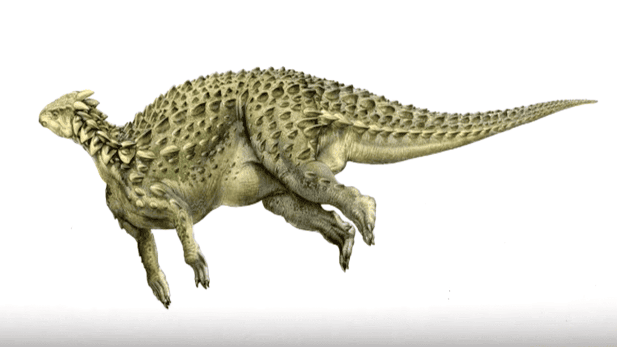 Interprétation artistique du Scelidosaurus.