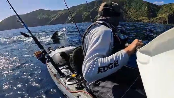 un énorme requin blanc traque un pêcheur en kayak – et tout est en vidéo