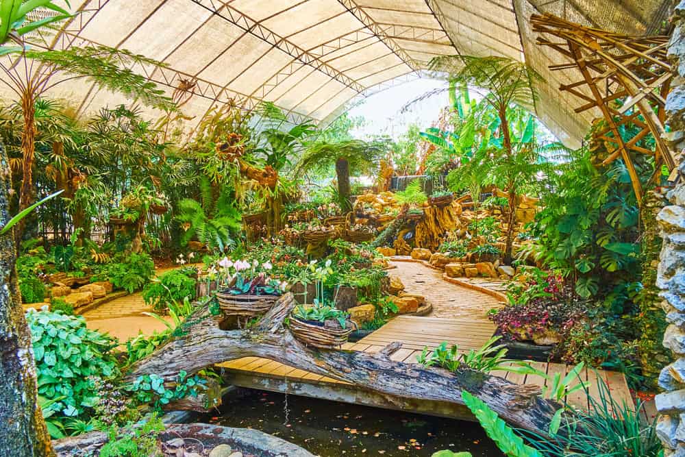 jardin 