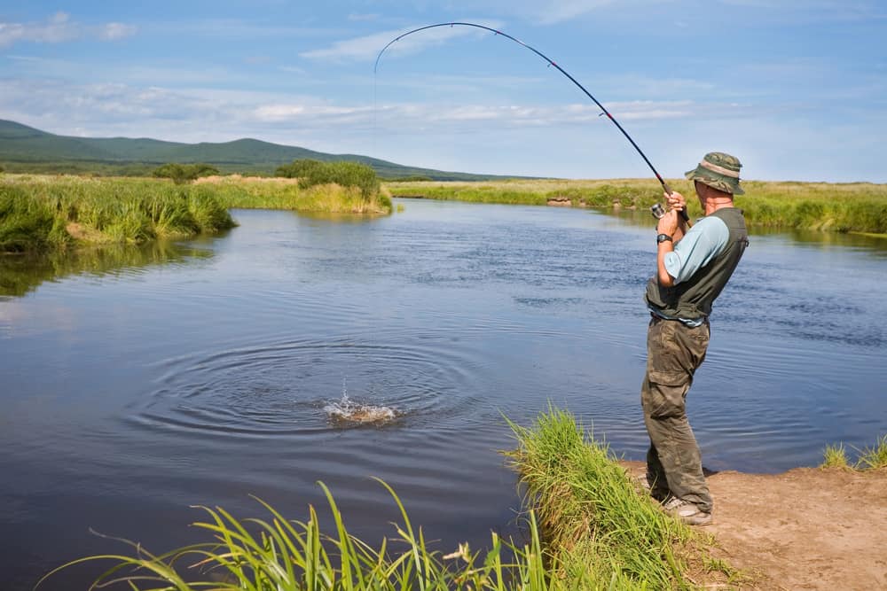 Pêcheurs sportifs pêchant et attrapant un saumon