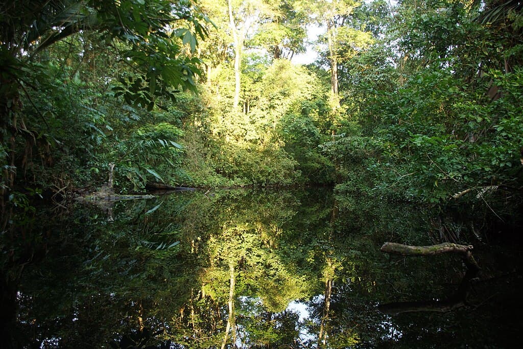 Parc national Corcovado