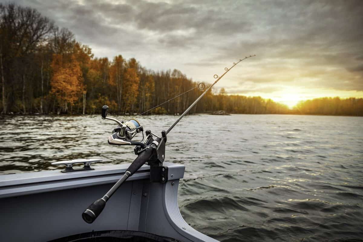 bateau de pêche, canne à pêche, pêche, lac, loisir, bateau, forêt, les bois, nature, eau, rivière, coucher de soleil, extérieur, skyscape, arbres, pêche, pêche, pêche, pêche