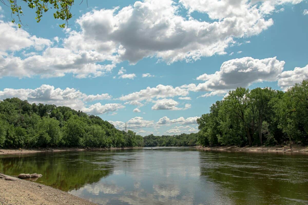arbres verts au bord de la rivière sous un ciel bleu et des nuages ​​blancs pendant la journée