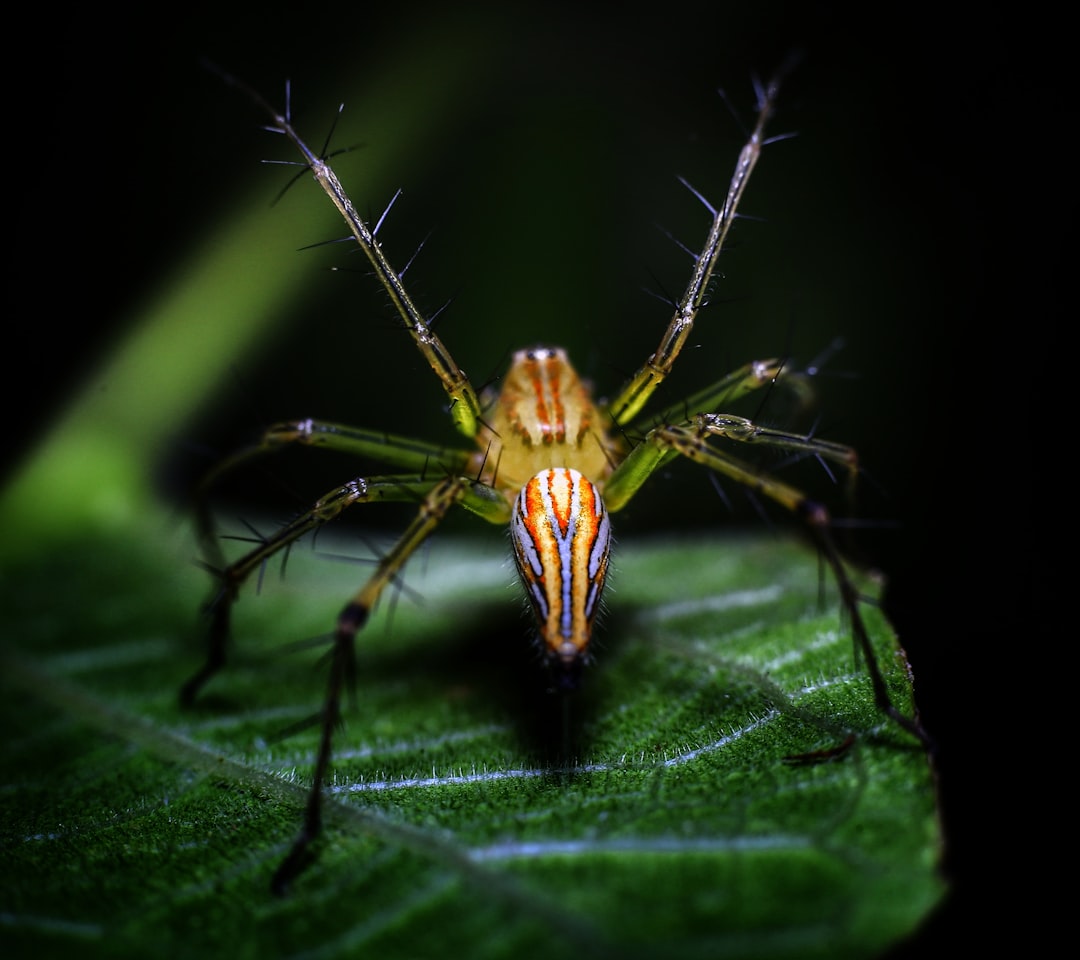 8 Colombie (crédits image : unsplash)
