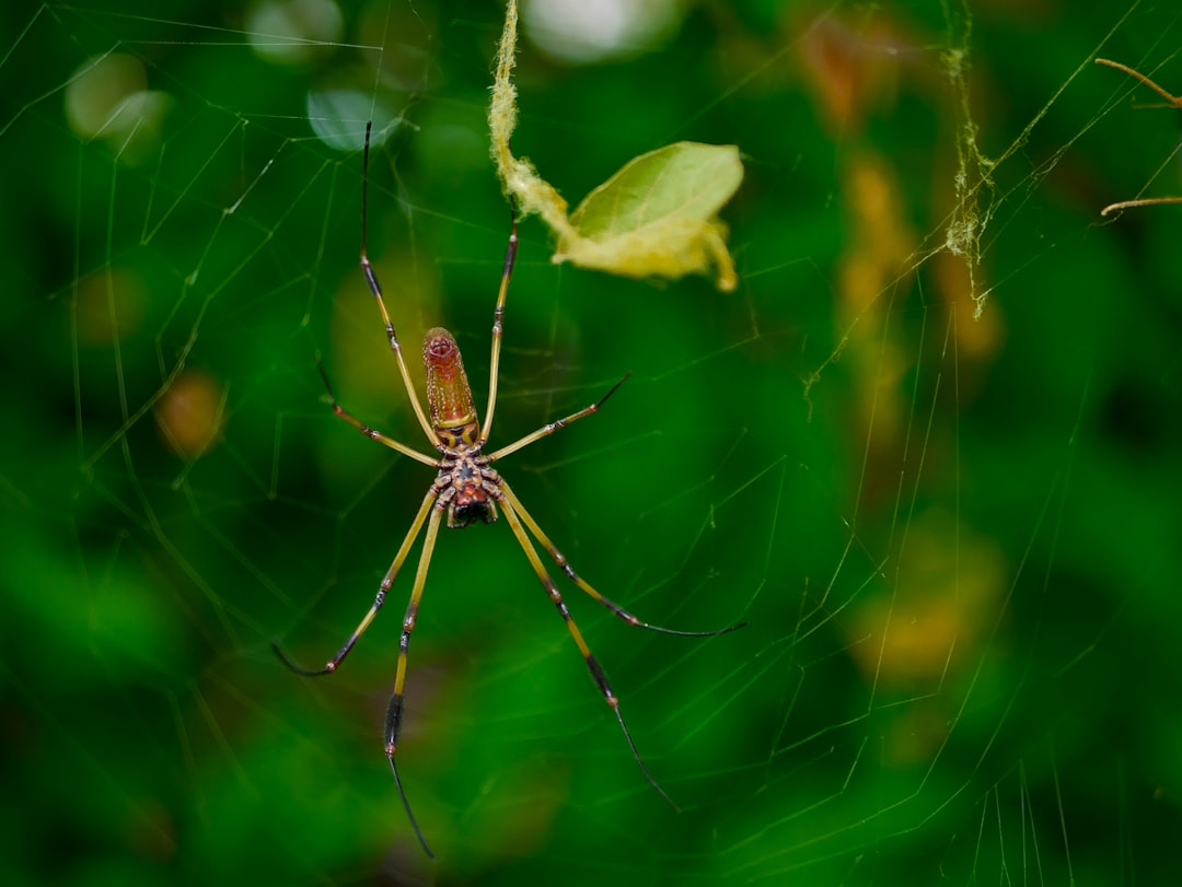5 Équateur (crédits image : unsplash)