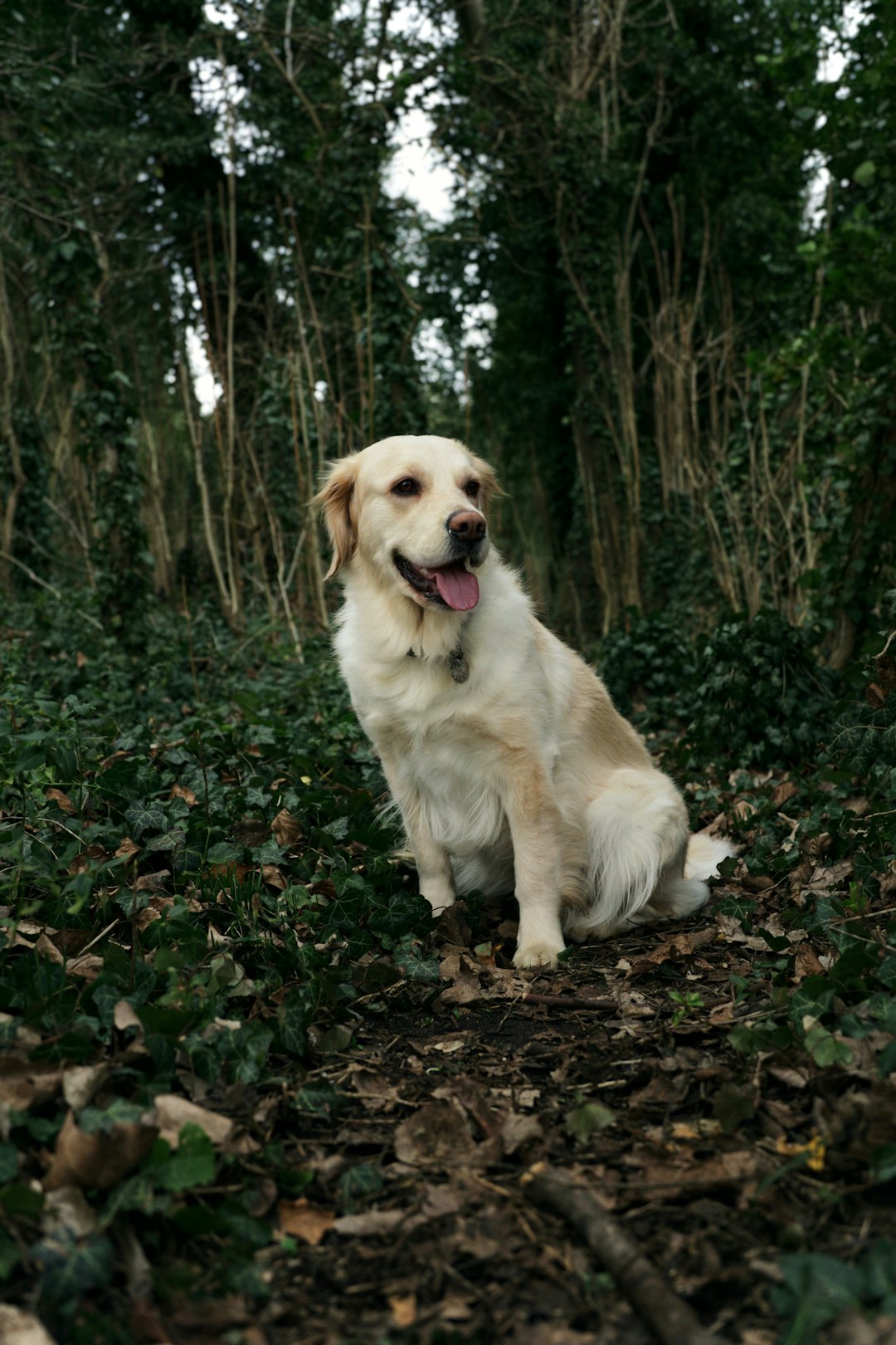 10 Créer une structure et une routine (crédits image : unsplash)